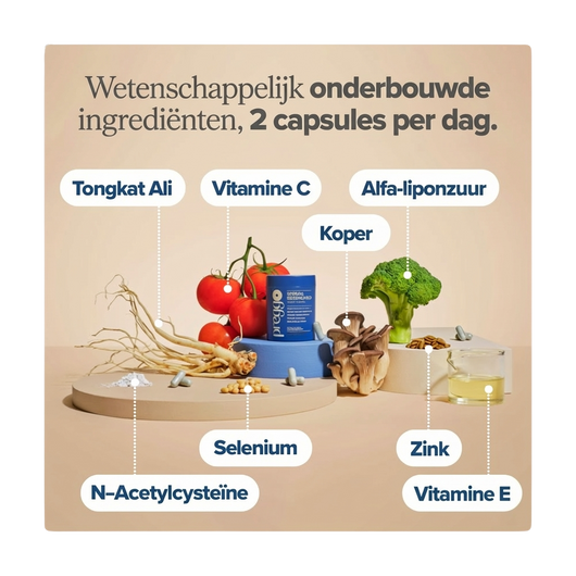 Men's Health SP Support Capsules
